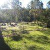 Community discussion group, Euroka Park, lower Blue Mountains